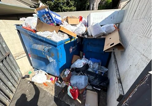 Overfilled blue bins with bags and cardboard on the enclosure floor at Horizon Apts before service