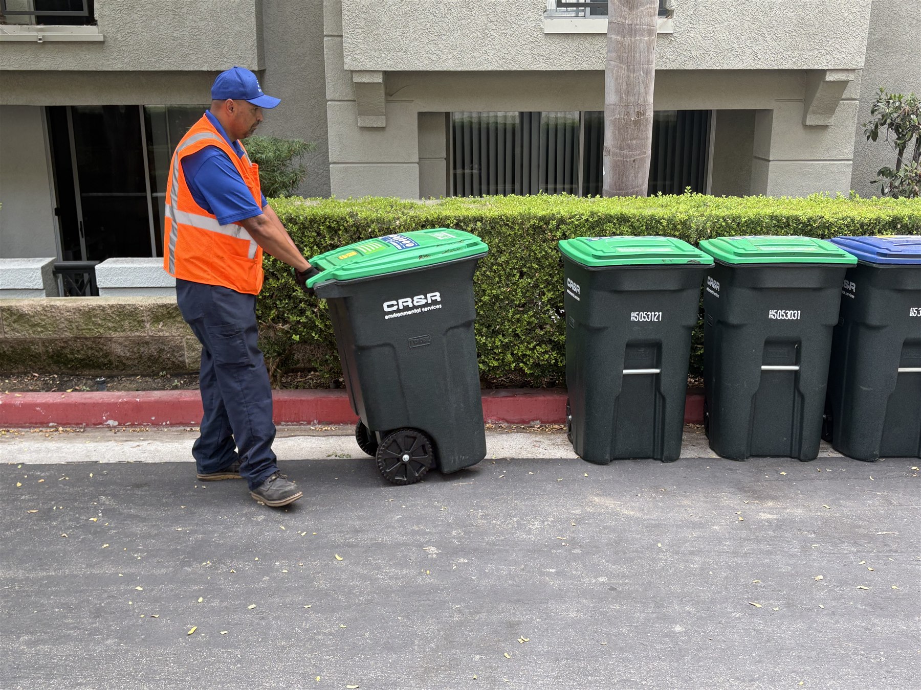 Strategic Sanitation technician moving an organics tote from a curbside collection lineup